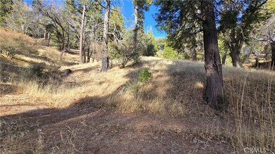 0 None unit CV24254546, Cedarpines Park, CA 92322 - photo 3