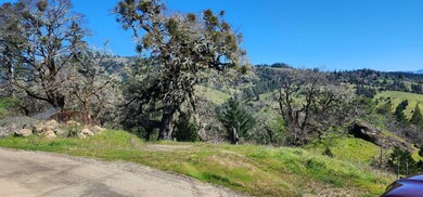 IMG_7851