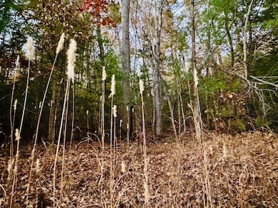 LT 9 Timberline Rd, Murphy, NC 28906 - photo 7