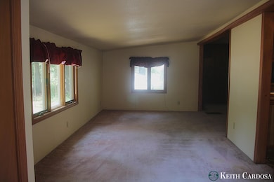 4855 Juniper Ridge Ave, Newaygo, MI 49337 - photo 5