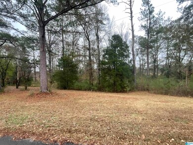 0 Friendship Cir unit 21438557, Clanton, AL 35045 - photo 4