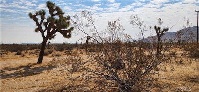 60220 Drexel Rd, Joshua Tree, CA 92252 - photo 5