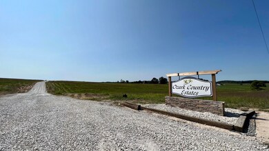 000 Gibson Lane Rd unit Lots 1 & 2, Mountain Grove, MO 65711 - photo 2