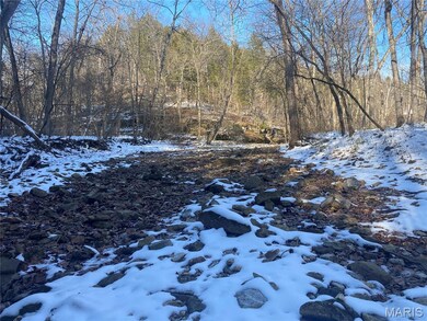 29507 Pinnacle Lake Rd, New Florence, MO 63363 - photo 6