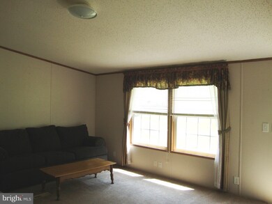 42 Batman Hill Rd, Luray, VA 22835 - photo 4