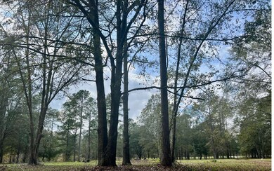 255 SW Cherrywood Way, Lake City, FL 32025 - photo 3