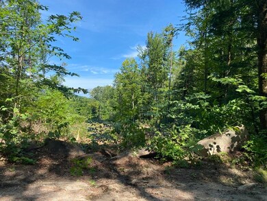 63-11-7 Ossipee Mountain Rd unit 63/11-7, Ossipee, NH 03864 - photo 2