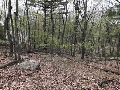 126 Nelson Rd, Milford, PA 18337 - photo 3