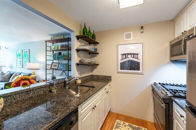 Parris Landing unit 5303, Boston, MA 02129 - photo 5