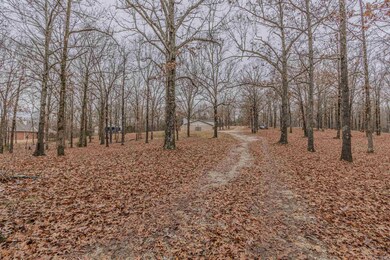 4000 Mcdaniel Rd, Paragould, AR 72450 - photo 4