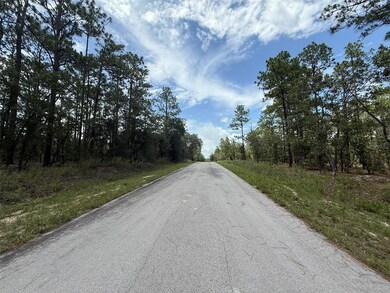 0 NW Tree Top Rd unit MFROK225311, Dunnellon, FL 34431 - photo 5