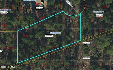 102 Brecon, West End, NC 27376 - photo 2