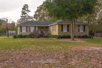 23511 Roberts Cemetery Rd, Hockley, TX 77447 - photo 5