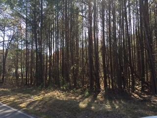 0 N Dick Creek Rd unit 1245703, Lafayette, GA 30728 - photo 4