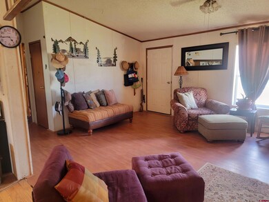 22 Cedar Dr, Del Norte, CO 81132 - photo 6