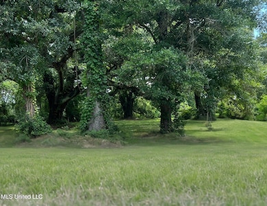 20240717200441910188000000-o