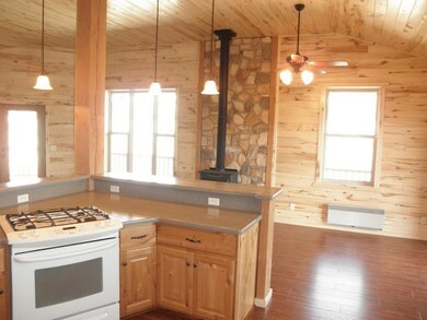 Gas cooking stove