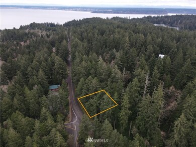 9203 Eckenstam Johnson Rd, Anderson Island, WA 98303 - photo 2