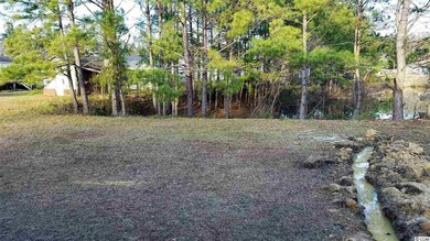 3832 Stern Dr unit Northlake - Lot 16, Conway, SC 29526 - photo 4