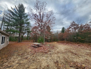 10544 N Lazy Ln, Bitely, MI 49309 - photo 5