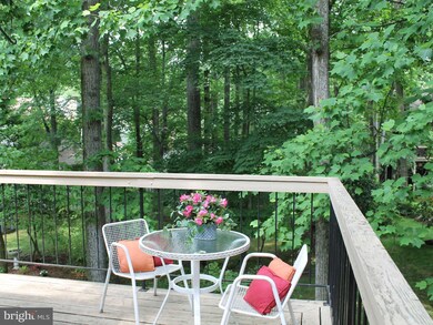 458 Cranes Roost Ct, Annapolis, MD 21409 - photo 7