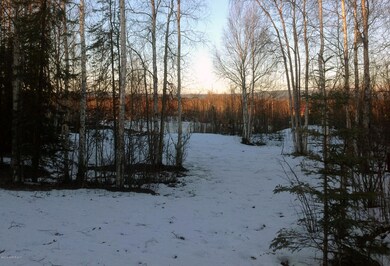 11375 Wasey Way, Big Lake, AK 99654 - photo 3