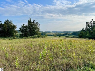 00 Skinner Rd, Ellsworth, MI 49729 - photo 4