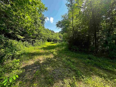 Tract #5 Holt Rd, Louisa, KY 41230 - photo 2