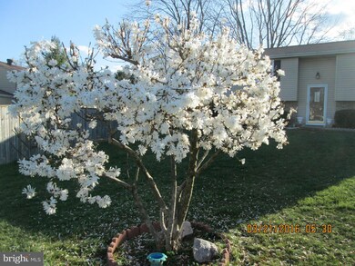 4311 Rolling Stone Way, Alexandria, VA 22306 - photo 2