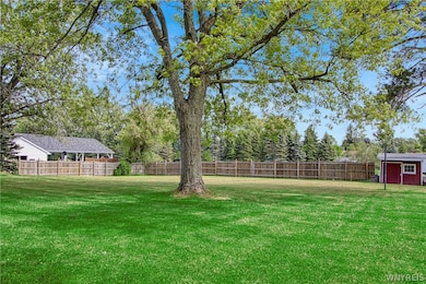 BACKYARD 2