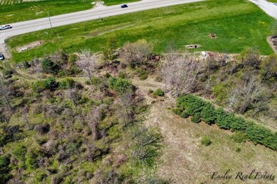 8249 Parcel A M-139, Berrien Springs, MI 49103 - photo 6