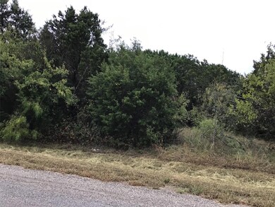 12110 Oak Dale Dr, Whitney, TX 76692 - photo 3