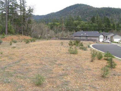 341 Cedar Ridge, Cave Junction, OR 97523 - photo 5