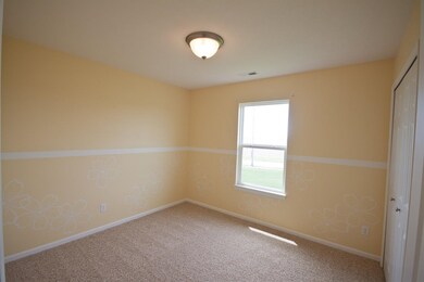 10223 Flagstaff St, Cedar Lake, IN 46303 - photo 5