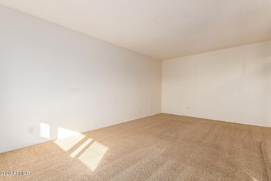 446 E Loyola Dr, Tempe, AZ 85282 - photo 6