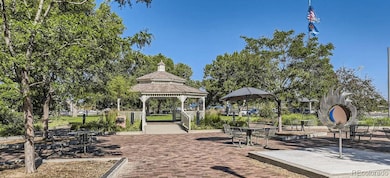 Carousel Image
