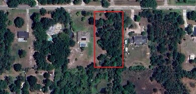 26300 Pheasant Run, Wesley Chapel, FL 33544 - photo 5