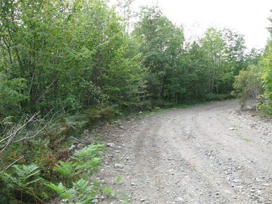 00 Gene Jordon Off South Jordan Hill, Columbia, NH 03590 - photo 3