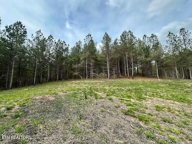 STONECIPHER INSIDE LOT VIEW