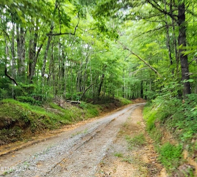 Arthur McCormick Rd thru Sexton Prop 2