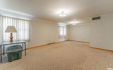 1114 Pekin St, Lincoln, IL 62656 - photo 3