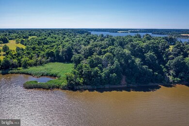 0 Knight Island Rd unit MDCC2005710, Earleville, MD 21919 - photo 4