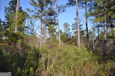 0 Sandpiper Ln unit TRACT 1, Swainsboro, GA 30401 - photo 7