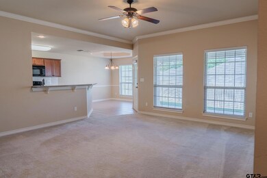 421 421 W Cumberland Rd unit 703, Tyler, TX 75703 - photo 5