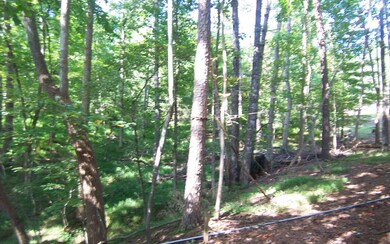 Additional View