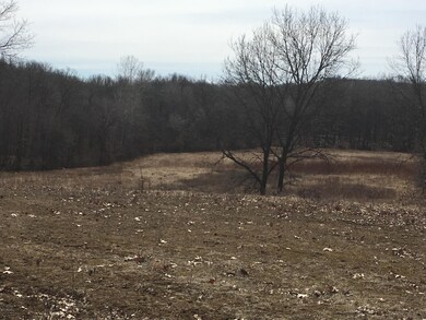 0 West Riverside Dr pic3