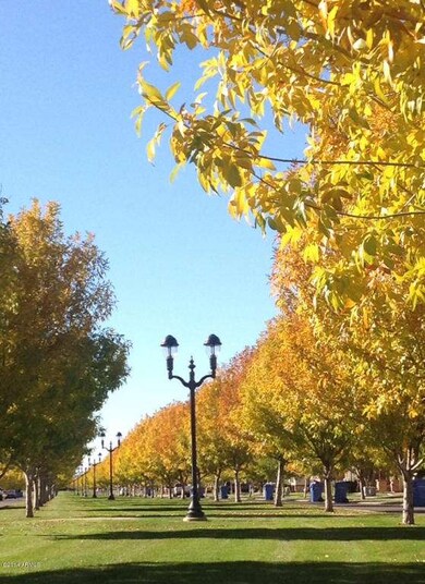 photo 3 (2)