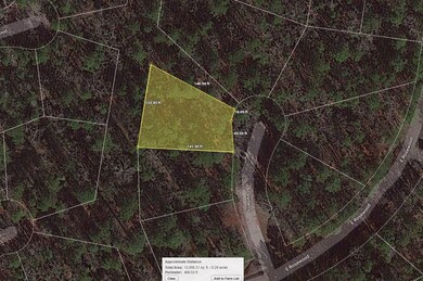 Dewberry Ct, Huntsville, TX 77320 - photo 6