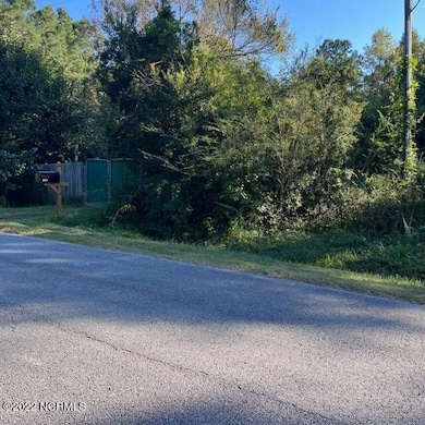 221 Prichard, Havelock, NC 28532 - photo 2