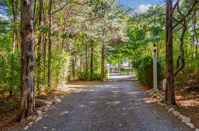 Driveway--Plum toward House 2